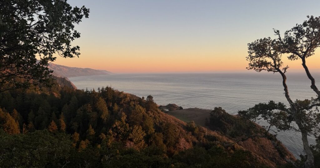 Evening light over the Pacific coast framed by trees