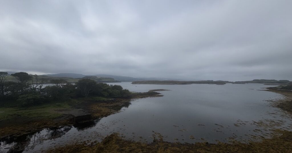 Still water along a quiet shoreline under gray skies